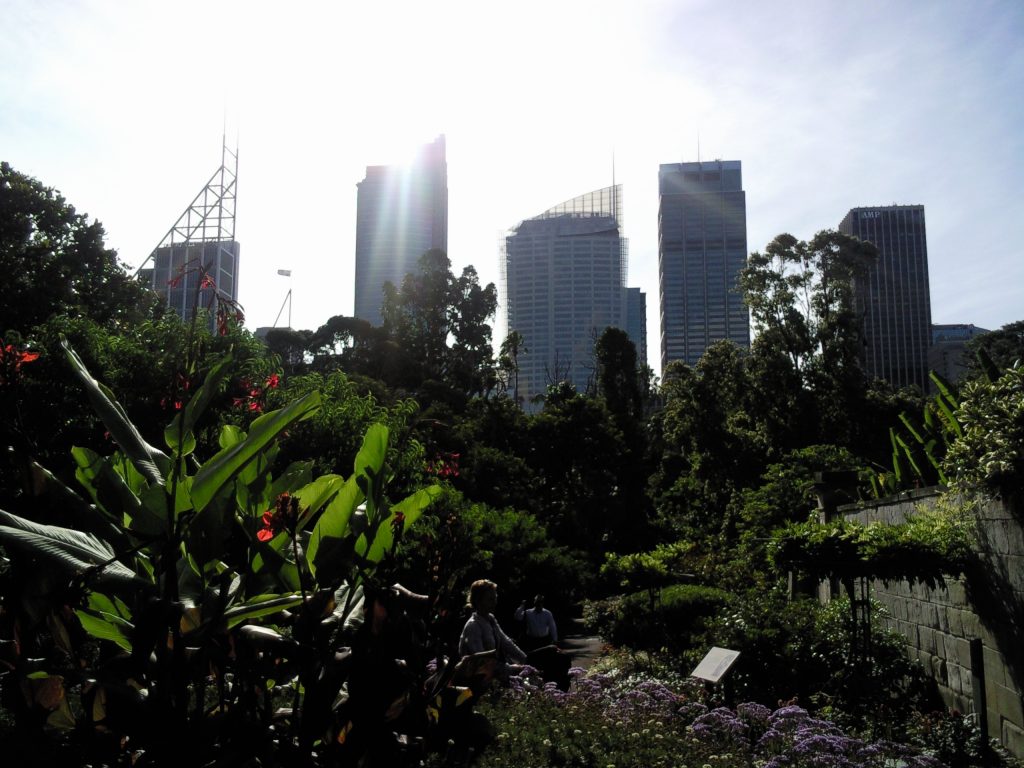 Royal botanic Garden - Sydney