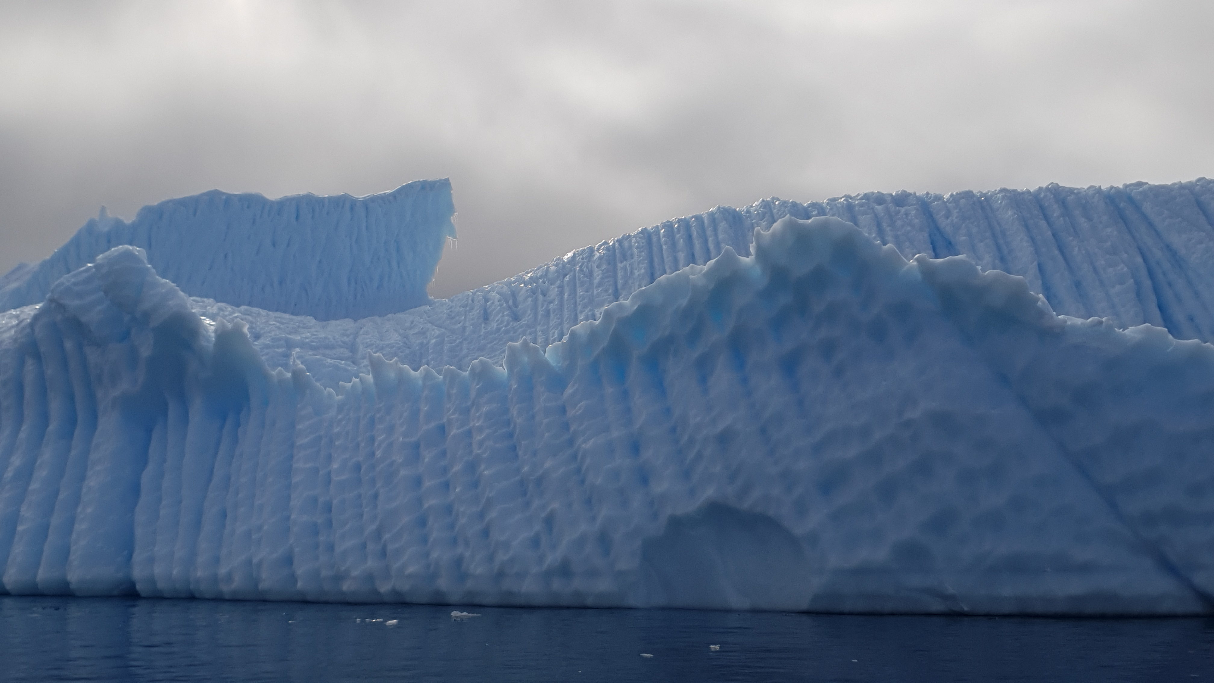 antarctique_bateau_excursion_coup_de_cœur