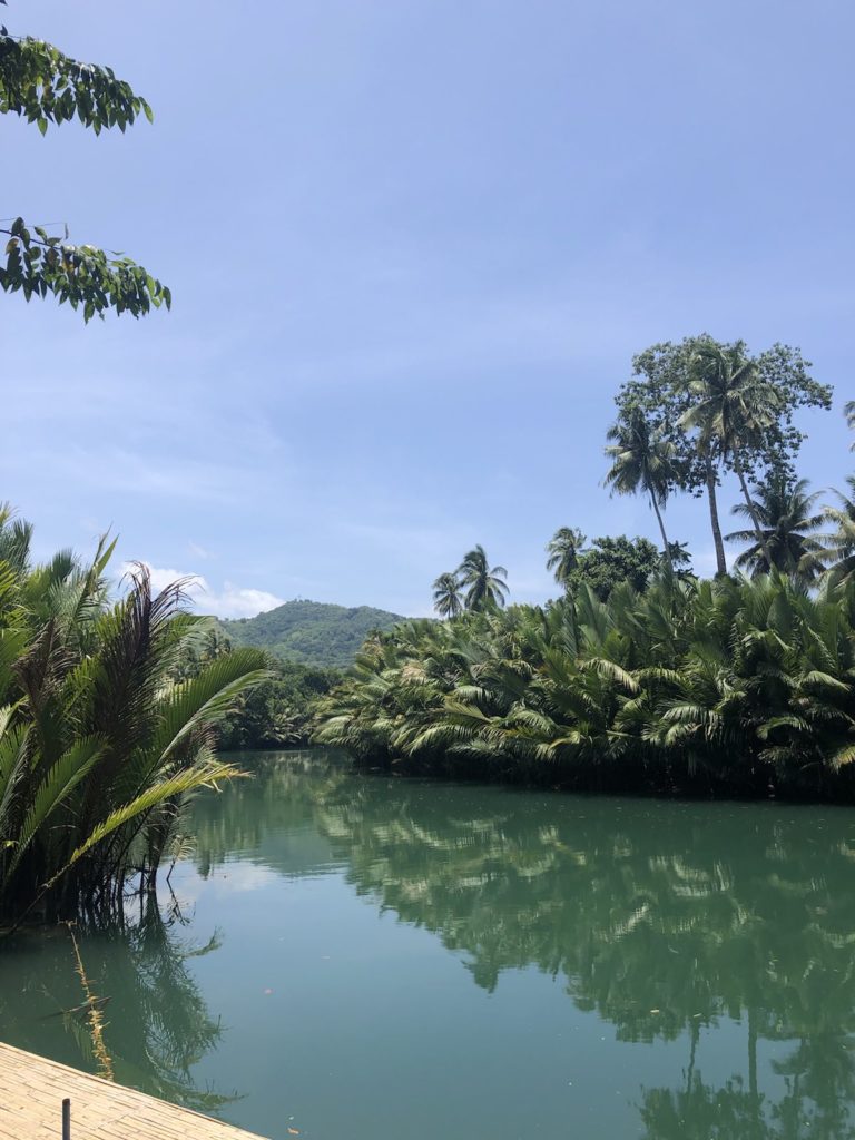 Rivière Loboc Philipppines