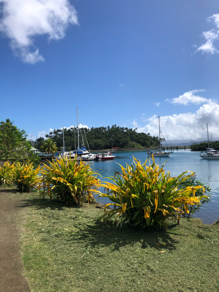 Savusavu, Iles Fidji